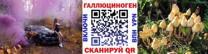 Псилоцибиновые грибы Psilocybe  Ядрин 